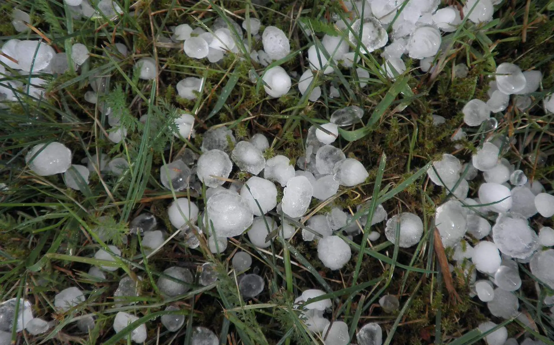 Cae granizo en el norte de Veracruz Protección Civil de Veracruz